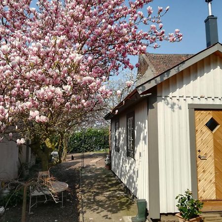 Schwedenliebe Apartment Frechen Bagian luar foto