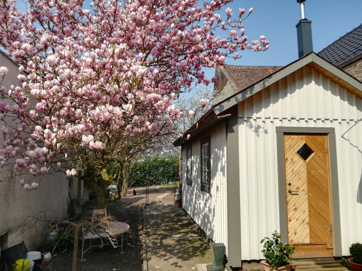 Schwedenliebe Apartment Frechen Bagian luar foto